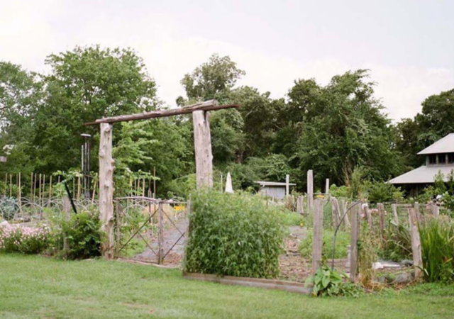 The Blackwood Educational Land Institute is a nature camp turned regenerative farming organization mentoring youth to become more in touch with the earth.